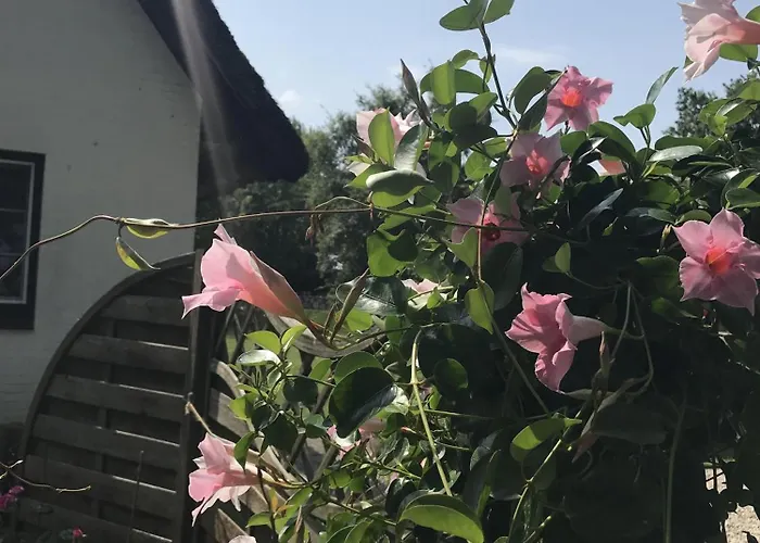 Luettje Heimat * Böhl