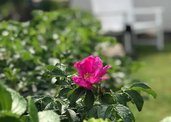 شقة Luettje Heimat Böhl